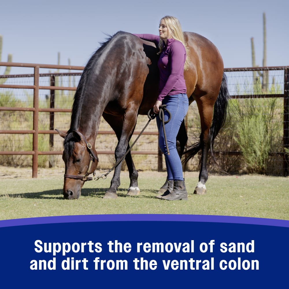 Farnam SandClear Psyllium Crumbles for Horses Digestive Support Sand Colic Risk 10 lbs.